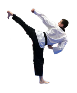 Master Hall Kicking